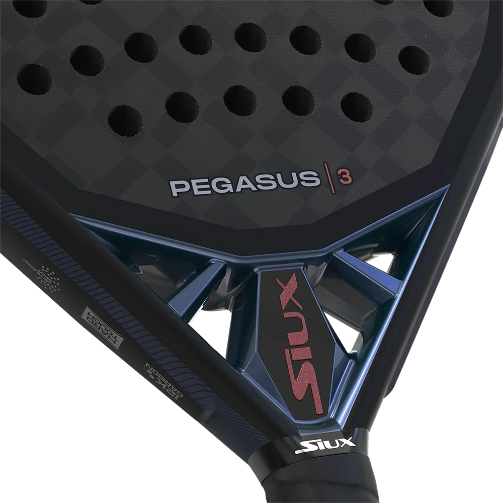 SIUX PEGASUS 3